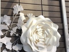 -八喜G’nature冰淇淋旗舰店