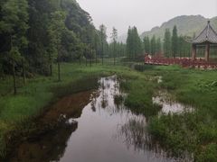 -广州市石门国家森林公园