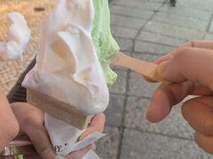 -柠檬车露(卖草地店)