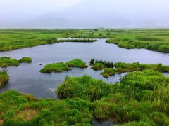 -腾冲北海湿地
