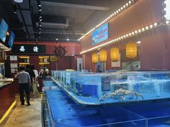 -张家卫·阳江菜·小海鲜(肥婆湾桥店)