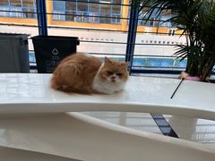 -东华大学(松江校区)