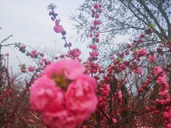 -北运河水利风景区
