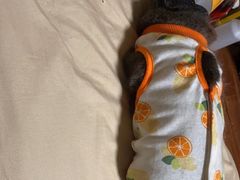 -关爱宠物医院·猫科中心·消化科(滨湖万达分院)