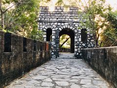 -板樟山森林公园