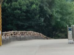 -茅兰沟国家森林公园