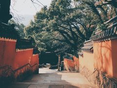 -普陀山风景名胜区-法雨禅寺