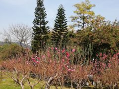 -桃花涧