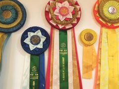 -Husky Go! 哈士奇体验馆·宠物咖啡厅狗咖