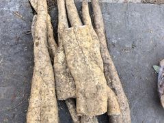 -山王坪喀斯特国家生态公园