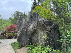 -梭布垭石林景区