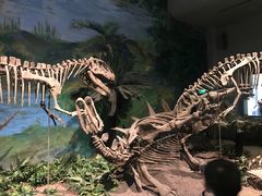 -自贡恐龙博物馆