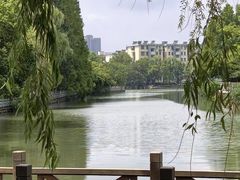 -范蠡湖公园