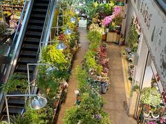 -双季花艺园艺市场(浦东店)