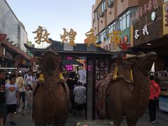 -敦煌夜市