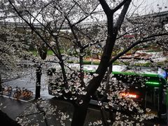 -南浦大桥长途旅游客运站