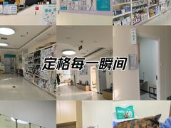 -美联众合动物医院·24h京西诊疗中心