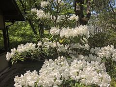 -三千院