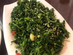 -范记靖远羊羔肉(博物馆店)