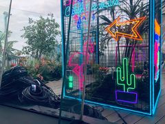 -Hi City·城市之巅