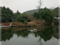 -白马涧龙池景区