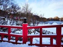 -大连植物园