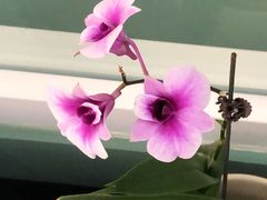 -南堂馆·新川菜(春熙路店)