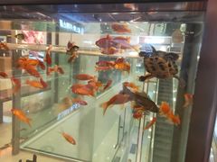 -凯德广场(埃德蒙顿路店)
