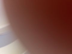 -云尊府云南菜·蒸汽石锅鱼(学清路店)