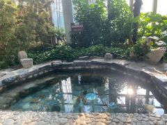 -中家鑫园温泉酒店鑫悦汤泉