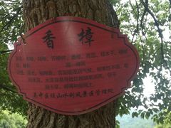 -九龙潭景区