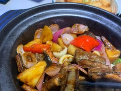 -鸽小宝(深圳首店)