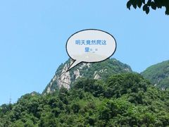 -陕西省红河谷森林公园