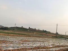 -光明小镇欢乐田园