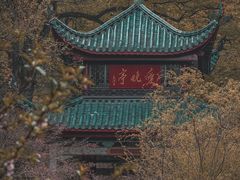 -岳麓山风景名胜区