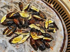 -比尔森韩式烤肉自助(绿园店)