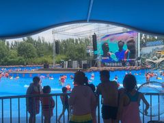 -郑州方特水上乐园