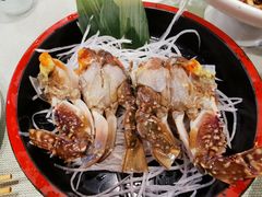 -渔娘渔家丹东海鲜(东直门店)