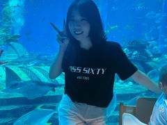 -亚特兰蒂斯•OSSIANO奥西亚诺海底餐厅