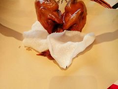 -鸽子侯·家宴·平价海鲜(市图书馆店)