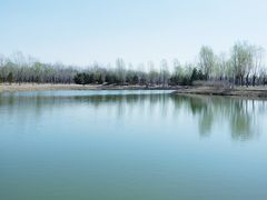 -东郊湿地公园