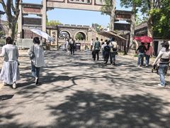 -观潮胜地公园