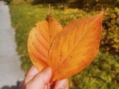 -陈家沟云太极拳馆培训中心