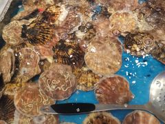 大扇贝-乔哥铭洋海鲜自助(皇城恒隆广场店)