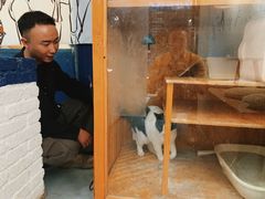 -颐玖 咖啡|甜品