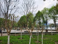 -后襄河公园