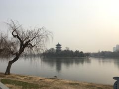 -莱西月湖公园