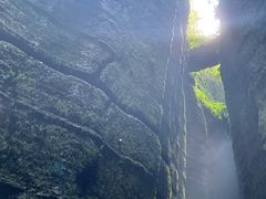 -梦幻奥陶纪景区