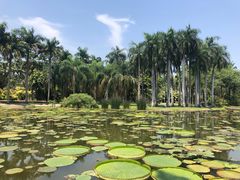 -中国科学院西双版纳热带植物园