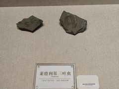 -辽宁古生物博物馆